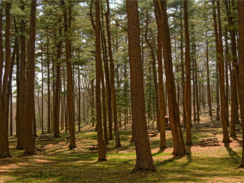 sudoku learning tool screenshot 1