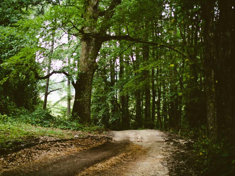 sudoku consecutive sudoku screenshot 2